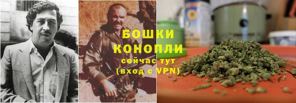 индика Богородск