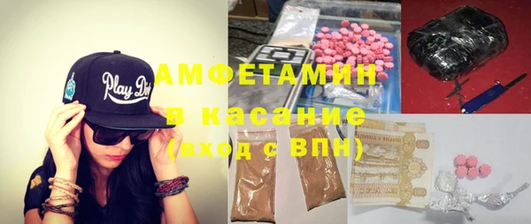индика Богородск