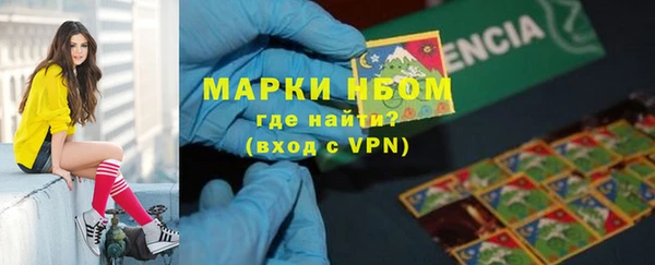 индика Богородск