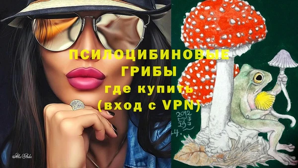 стаф Богородицк