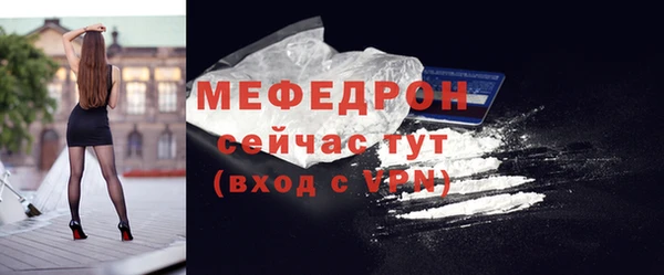 индика Богородск