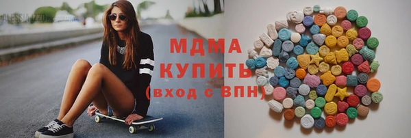 индика Богородск