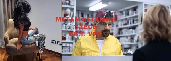 индика Богородск