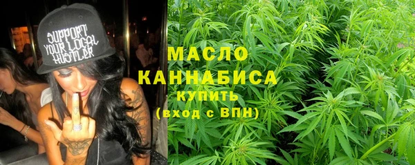 индика Богородск