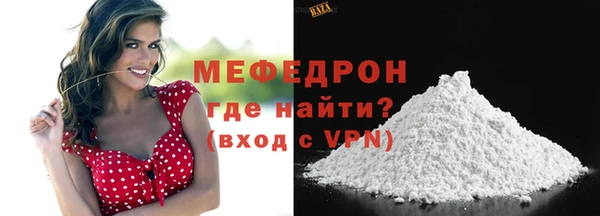 индика Богородск