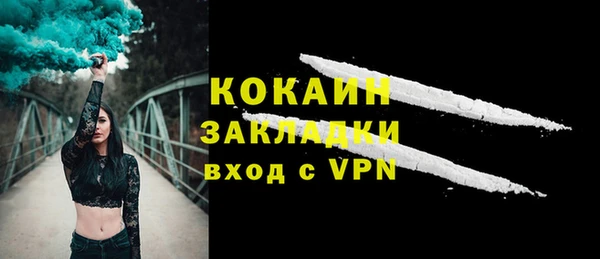 индика Богородск