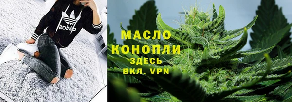 индика Богородск