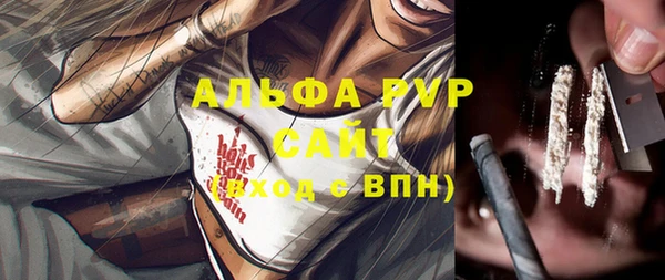 индика Богородск