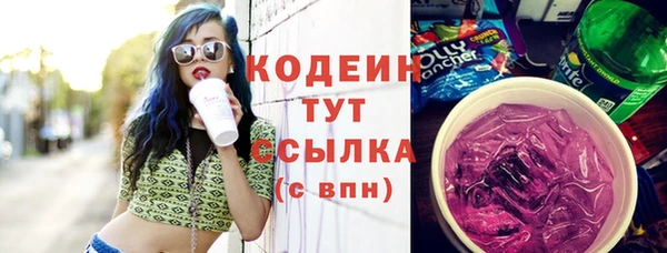 индика Богородск