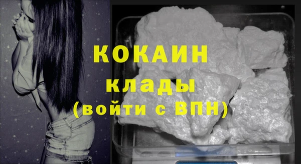 стаф Богородицк