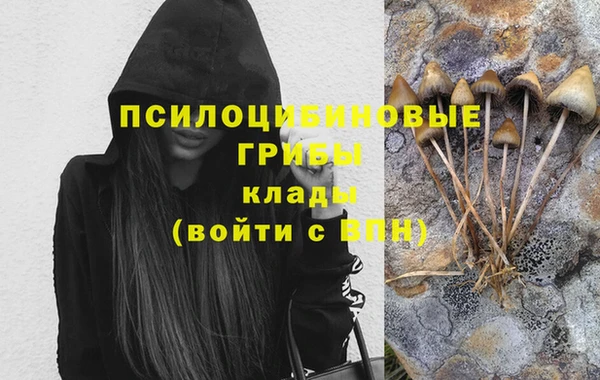 стаф Богородицк
