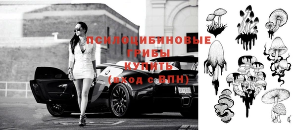 индика Богородск